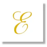 E Letter Monogram