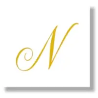 N Letter Monogram