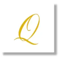 Q Letter Monogram