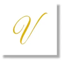 V Letter Monogram