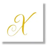 X Letter Monogram
